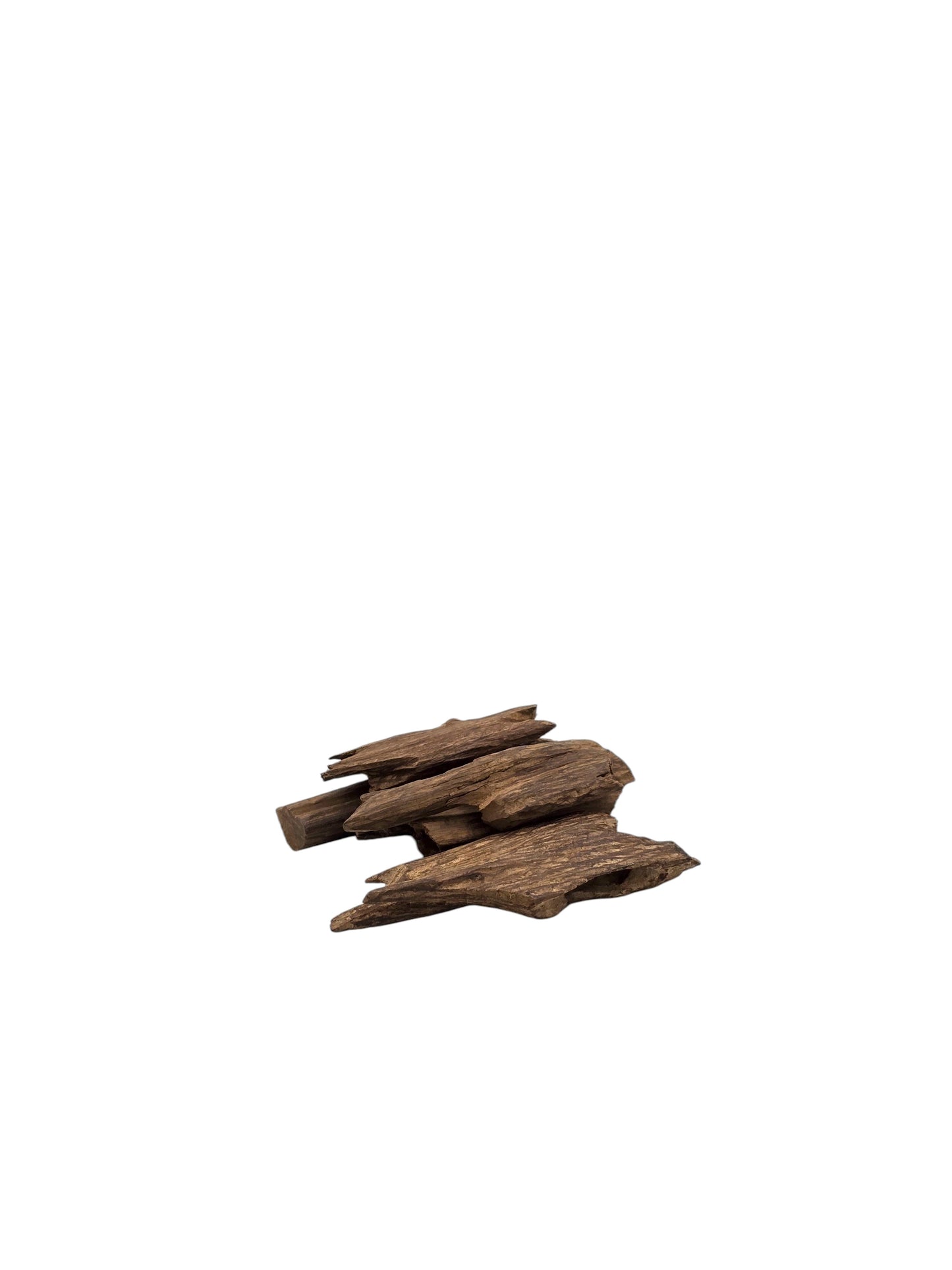 Indian oud