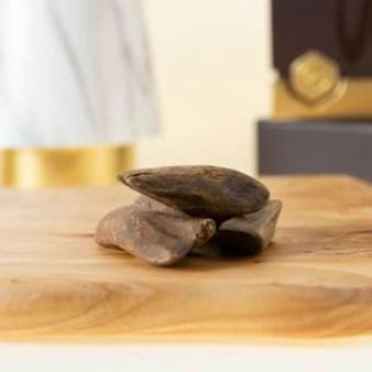 Indonesian oud 